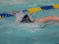IMG_3432 (800x533)