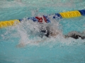 IMG_3433 (800x533)