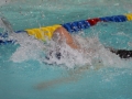 IMG_3434 (800x533)