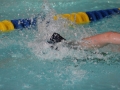 IMG_3435 (800x533)