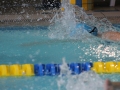 IMG_3437 (800x533)