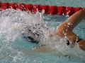 IMG_3438 (800x533)
