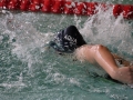 IMG_3440 (800x533)