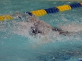 IMG_3441 (800x533)