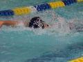 IMG_3442 (800x533)