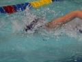 IMG_3443 (800x533)