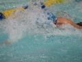 IMG_3448 (800x533)
