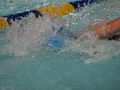 IMG_3449 (800x533)