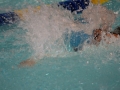 IMG_3450 (800x533)