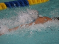 IMG_3451 (800x533)