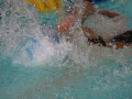 IMG_3452 (800x533)