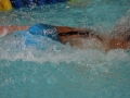 IMG_3453 (800x533)