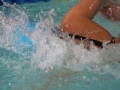 IMG_3454 (800x533)