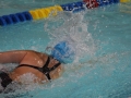 IMG_3457 (800x533)
