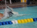 IMG_3459 (800x533)