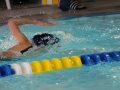 IMG_3460 (800x533)