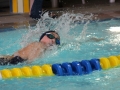 IMG_3461 (800x533)