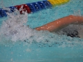 IMG_3464 (800x533)