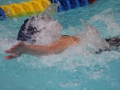 IMG_3465 (800x533)