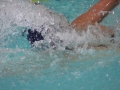 IMG_3468 (800x533)