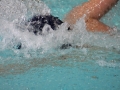 IMG_3471 (800x533)