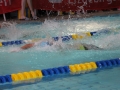 IMG_3475 (800x533)