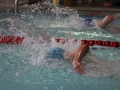 IMG_3477 (800x533)