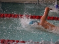 IMG_3479 (800x533)