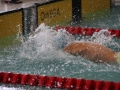 IMG_3480 (800x533)