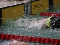 IMG_3481 (800x533)