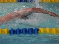 IMG_3482 (800x533)