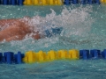 IMG_3483 (800x533)