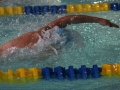 IMG_3484 (800x533)