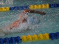 IMG_3486 (800x533)
