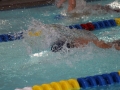 IMG_3487 (800x533)