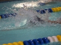 IMG_3489 (800x533)
