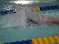 IMG_3491 (800x533)