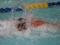 IMG_3493 (800x533)