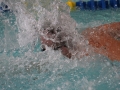 IMG_3495 (800x533)