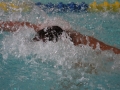 IMG_3496 (800x533)