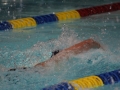 IMG_3498 (800x533)