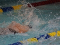 IMG_3499 (800x533)