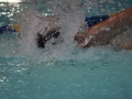 IMG_3500 (800x533)