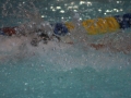IMG_3501 (800x533)