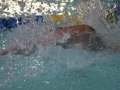 IMG_3504 (800x533)