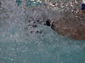 IMG_3505 (800x533)