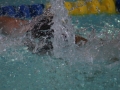 IMG_3506 (800x533)