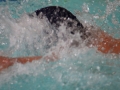 IMG_3509 (800x533)