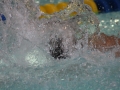 IMG_3512 (800x533)