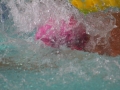 IMG_3520 (800x533)